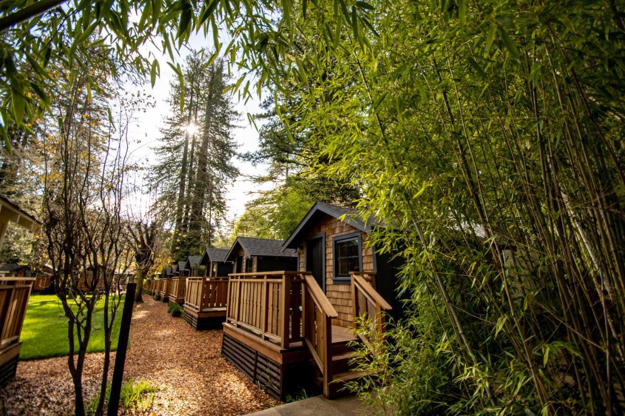 Sycamore Cabin
